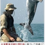 【キャロライン・ケネディ大使へ】米国で養成されてる戦闘用イルカには反対しないんですか？