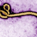 エボラワクチンは2005年に既に開発されていた