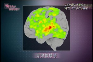 2016年02月24日(Wed)13時17分45秒