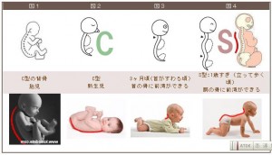 babyhead-04