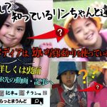 ＜我孫子ちらし＞デザイン３（A4片面カラー）